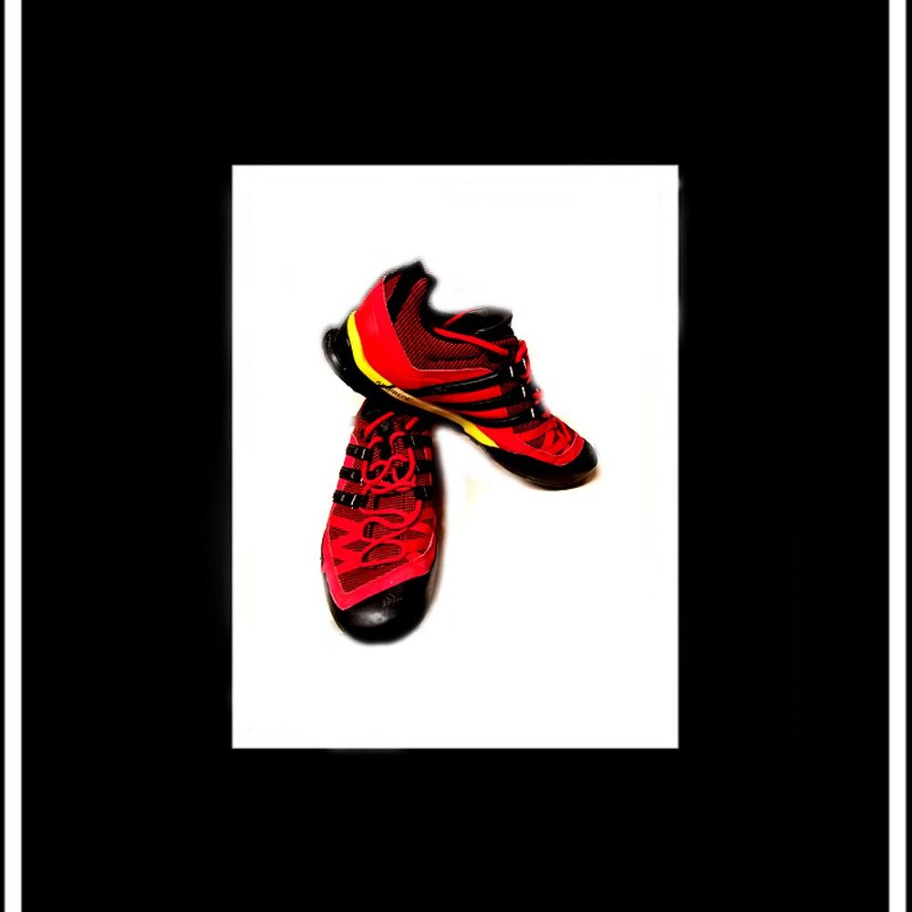 Rare & Unique Adidas Terrex Stealth Shoes